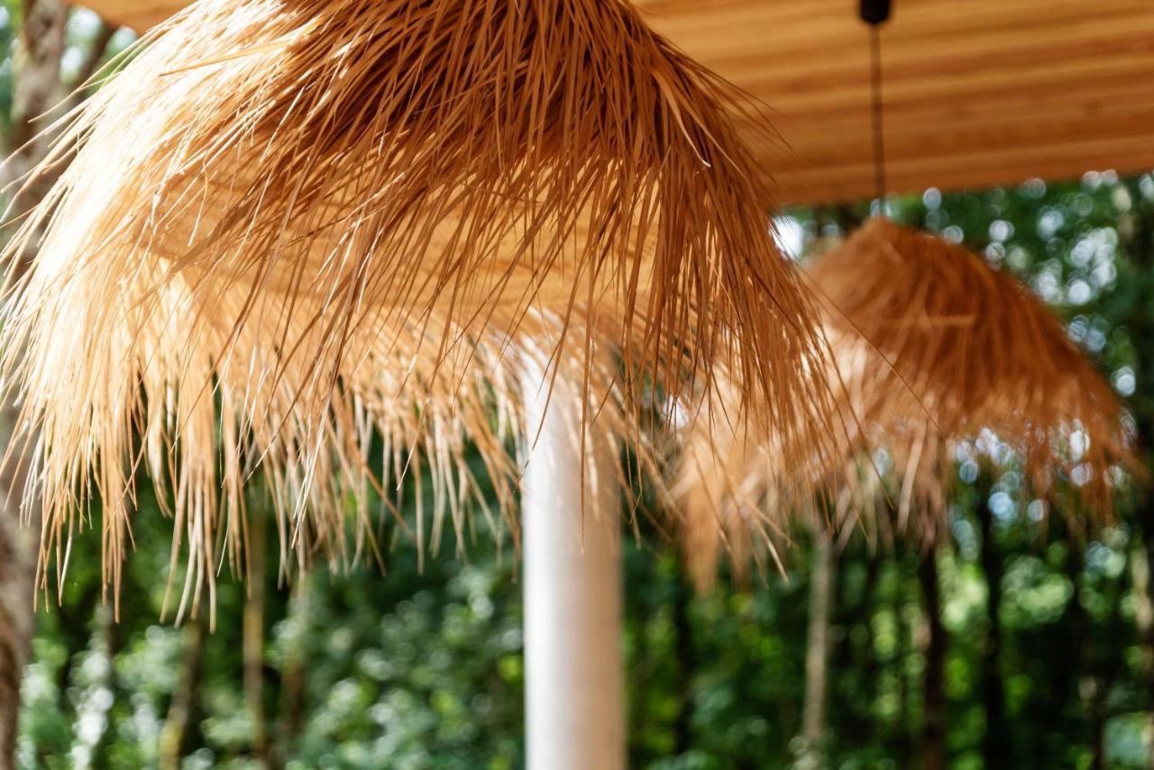 Bed and Breakfast Dans Les Arbres Lanta Екстер'єр фото